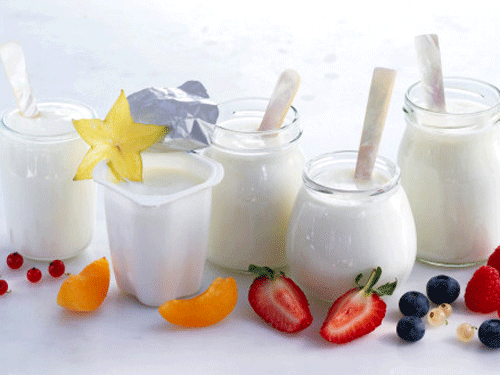 Dùng tủ lạnh chế biến món yaourt đơn giản